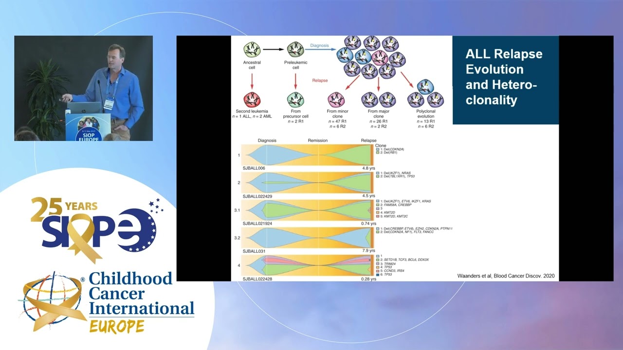 How to treat relapsed acute lymphoblastic leukaemia