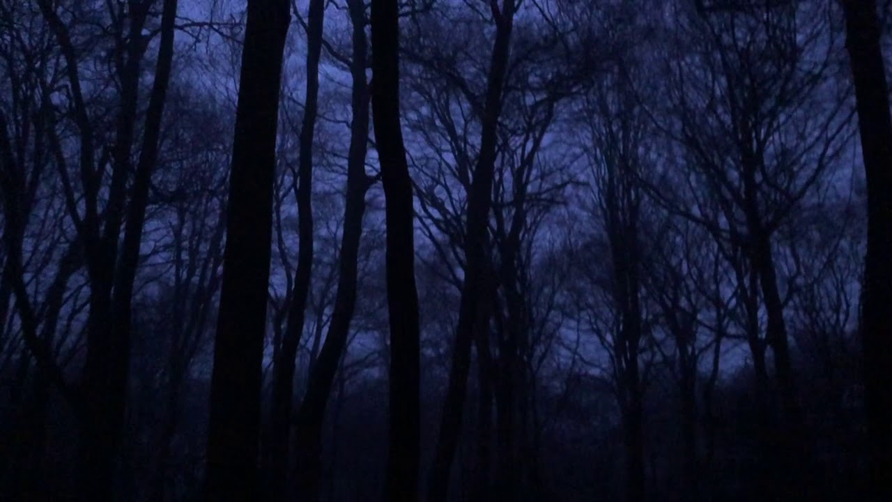 Baths - Voyeur