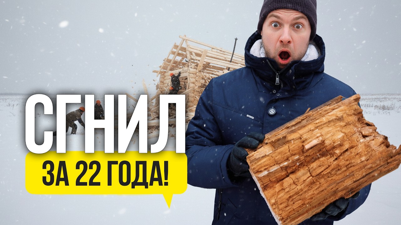 Как сделать чтобы дом дожил до 100 лет! Срок службы бревен в срубе