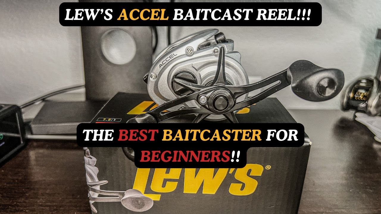 The BEST Baitcaster For Beginners!! Lew's Accel Baitcast Reel!!