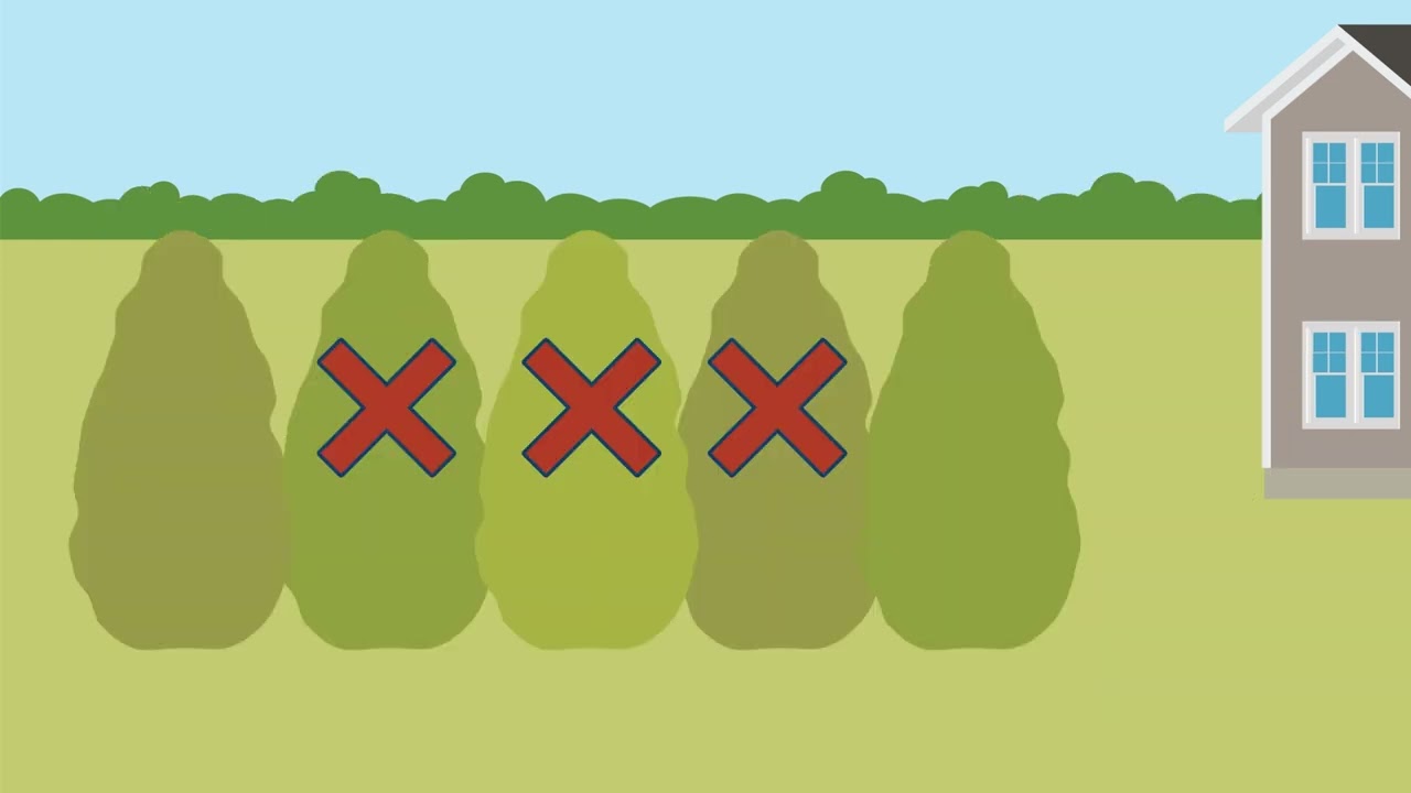 Mitigations That Matter: 5–30 Foot Defensible Space Zone