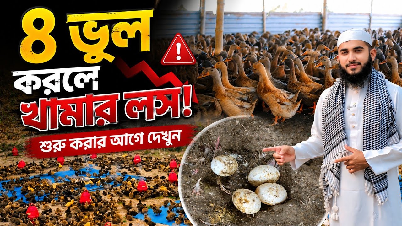 হাঁসের খামার শুরু করার আগে এই ৪টি বিষয় জানুন | Complete Duck Farming Guide Bangla