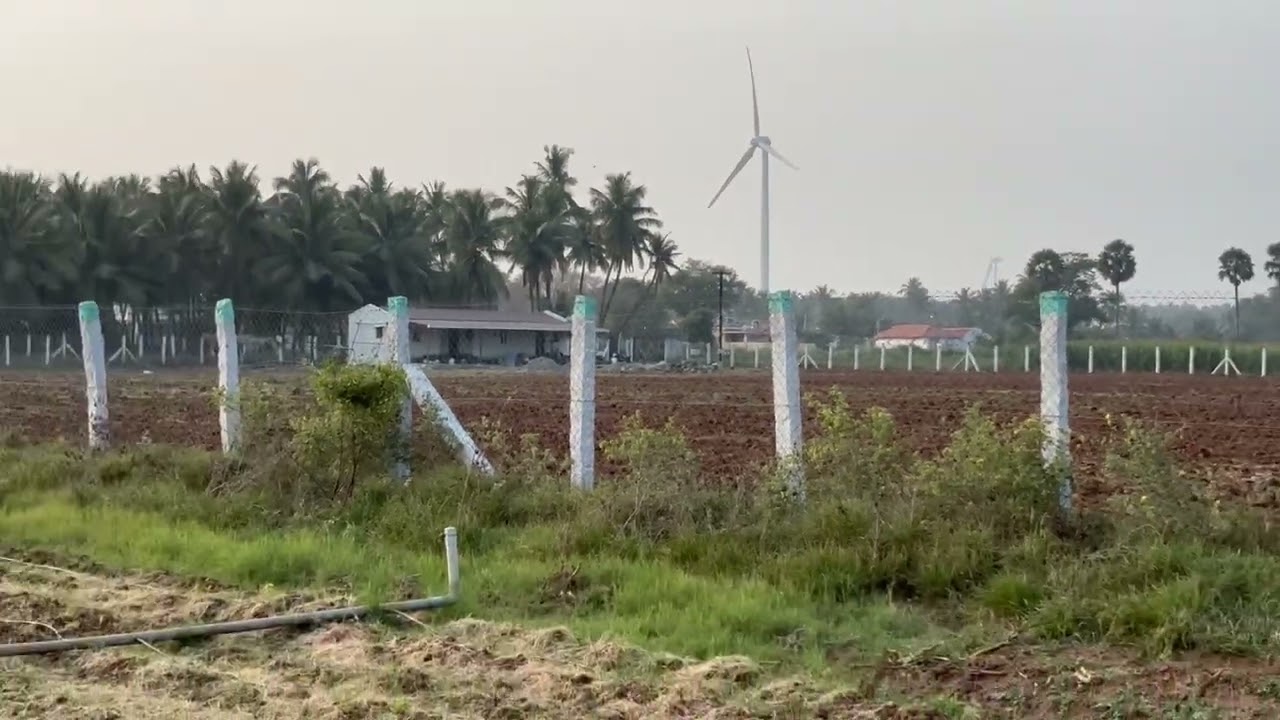 பல்லடம் உடுமலை மெயின் ரோடு 1km தீராத தண்ணீர் ஏரியா 4ஏக்கர் அழகான விவசாய பூமி விற்பனைக்கு 7708692020