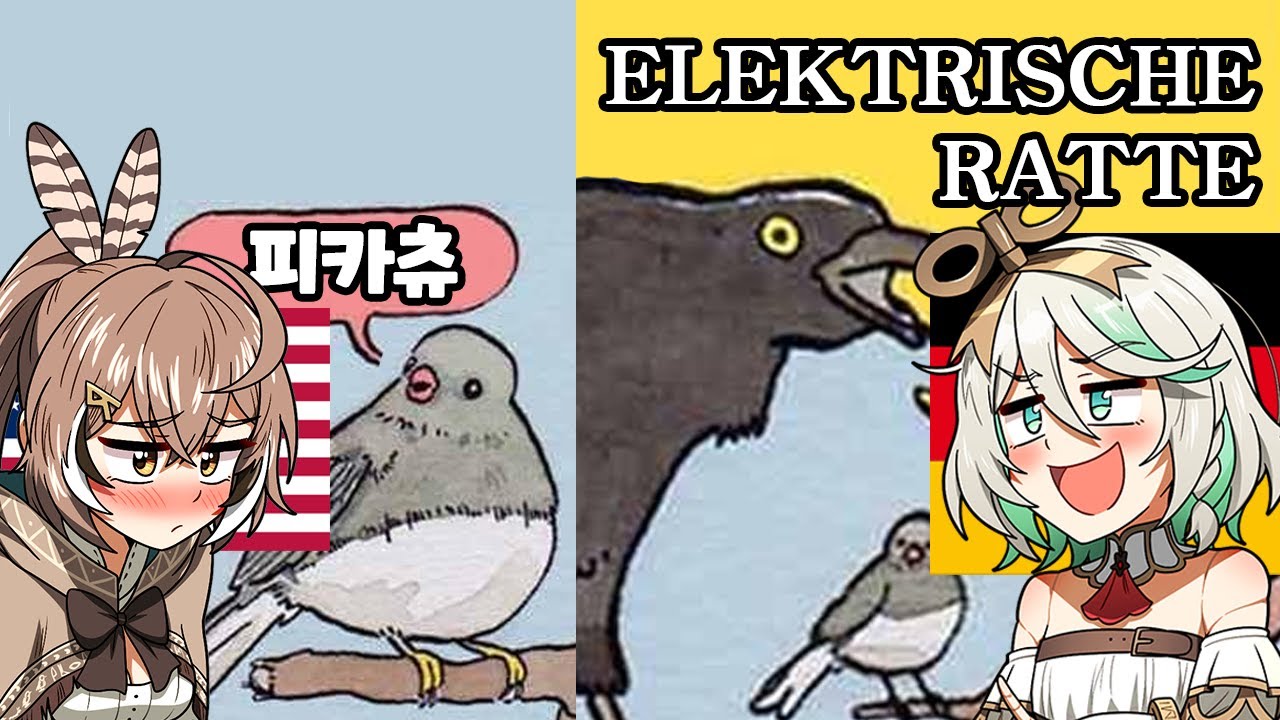 독일어 특)