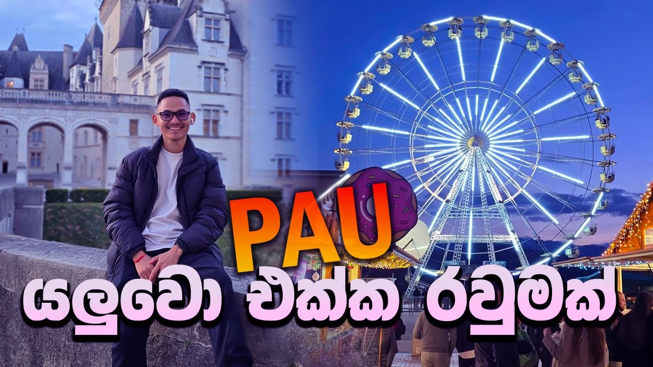 🇫🇷 ප්‍රංශයේ PAU City එක රවුමක් 😍 Europe Travel Vlog France 