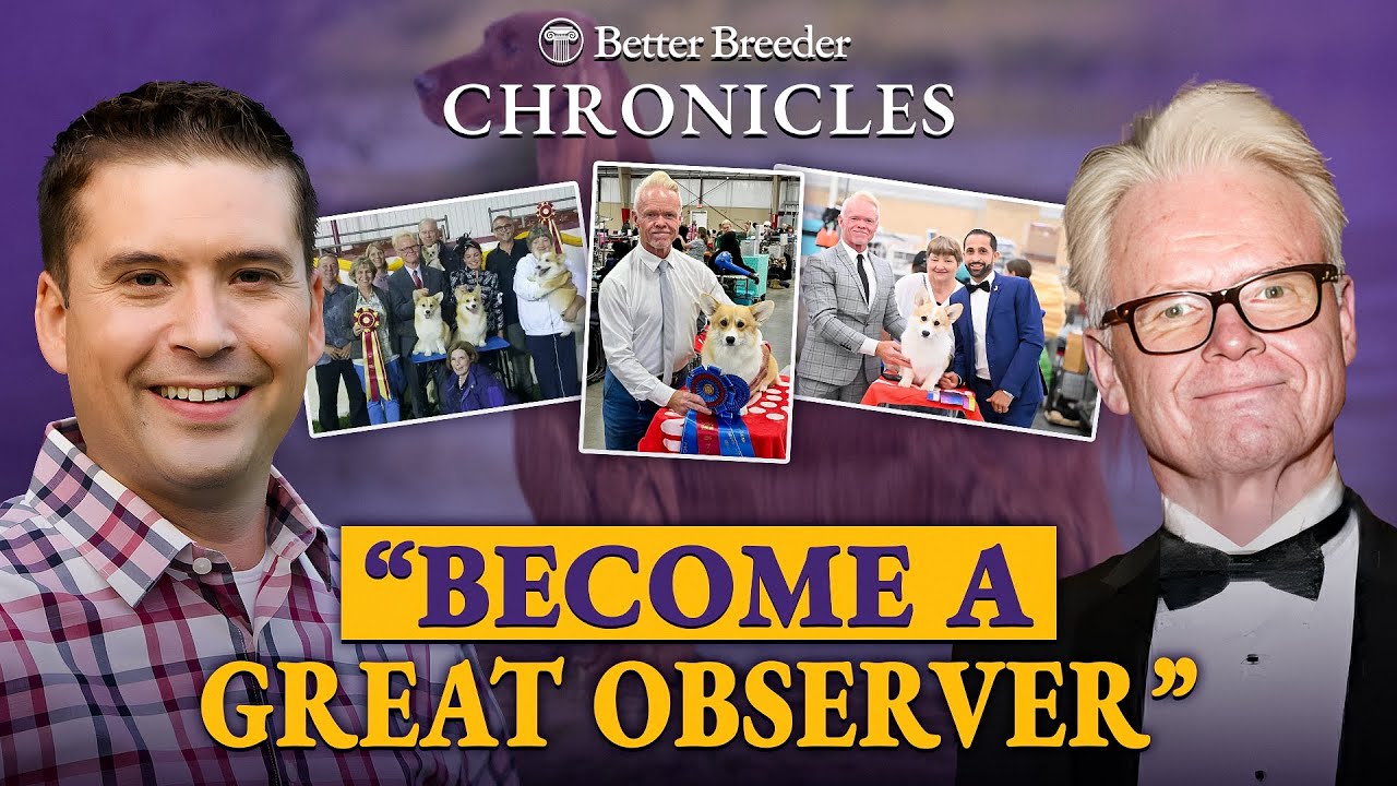 Meet Bill Shelton & Steve Leyerly: Master Breeders of Coventry Pembroke Welsh Corgis