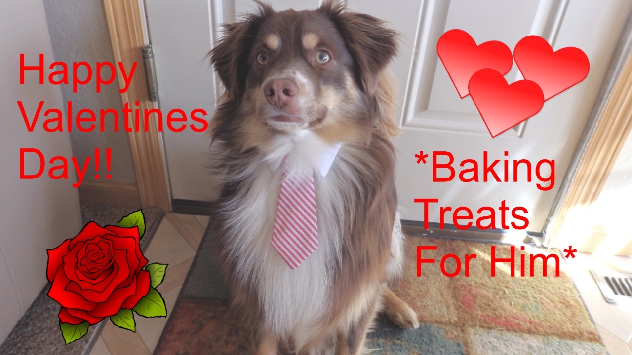Baking for Him!! *Slight Disaster Valentines Day Edition*