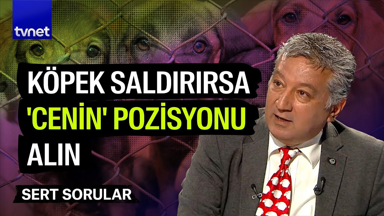 Sokak hayvanları sorununu HAYTAP Başkanı Ahmet Kemal Şenpolat anlattı | Sert Sorular