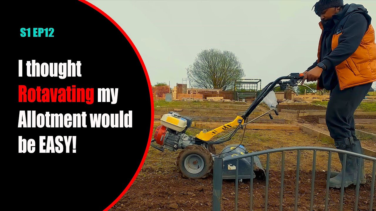 S1 EP12 Is the Jewson's ROTAVATOR worth it for use at the allotment?