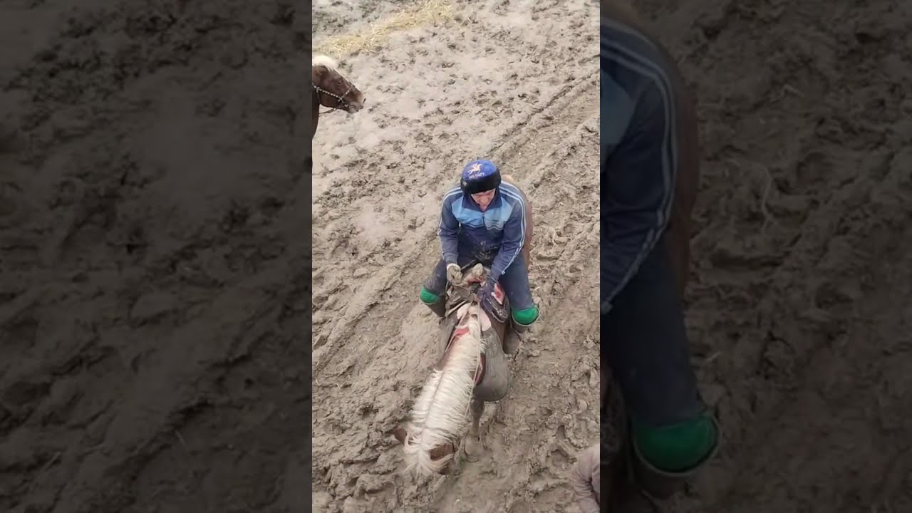 URGUT BESHKAPA KO'PKARISI