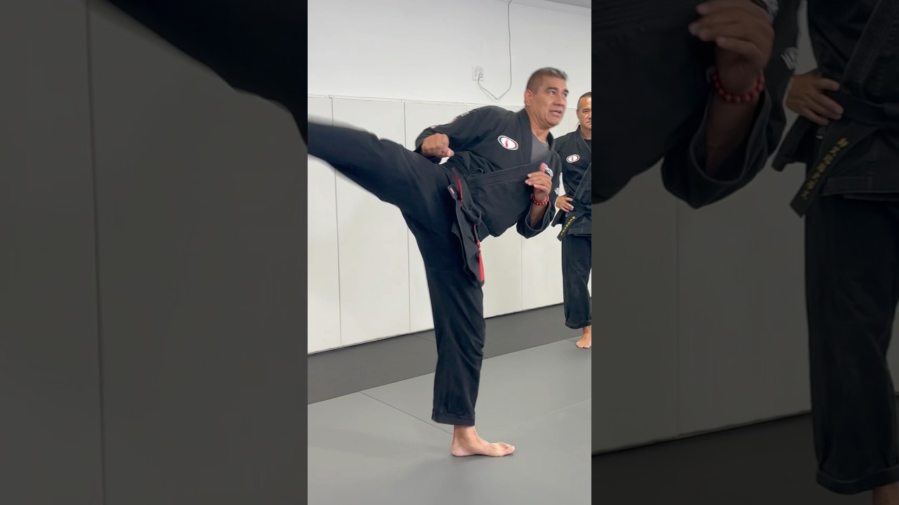 Stability is important 💯 Kenpo manipulates and lowers the 🎯#MotionMastery #Kenpo #MartialArts