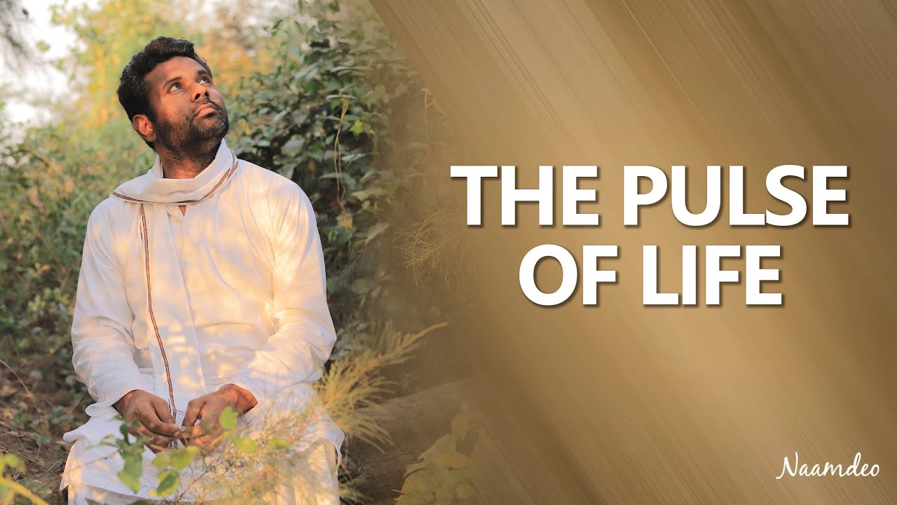 THE PULSE OF LIFE | Naam Deo