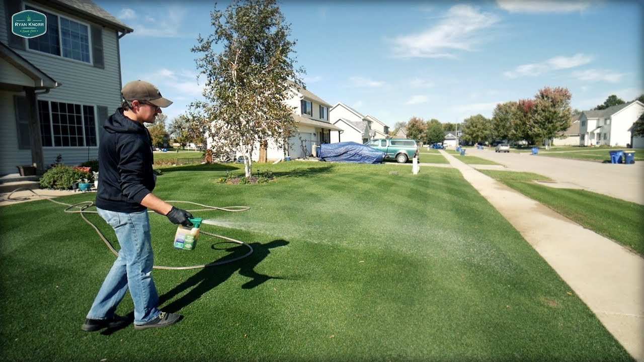 Making the Lawn POP Before A Visitor