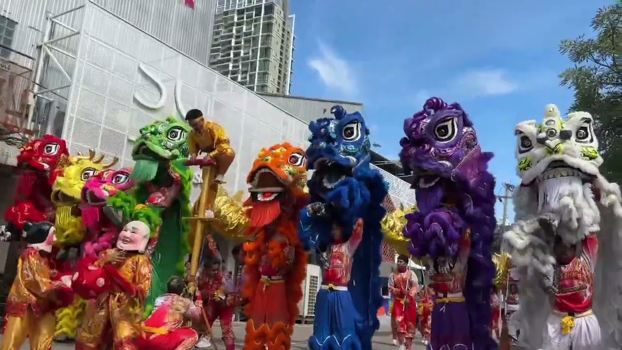 มังกรทอง พร้อมสิงโต 9 ตัว ร่วมงานเปิดสาขา TOA