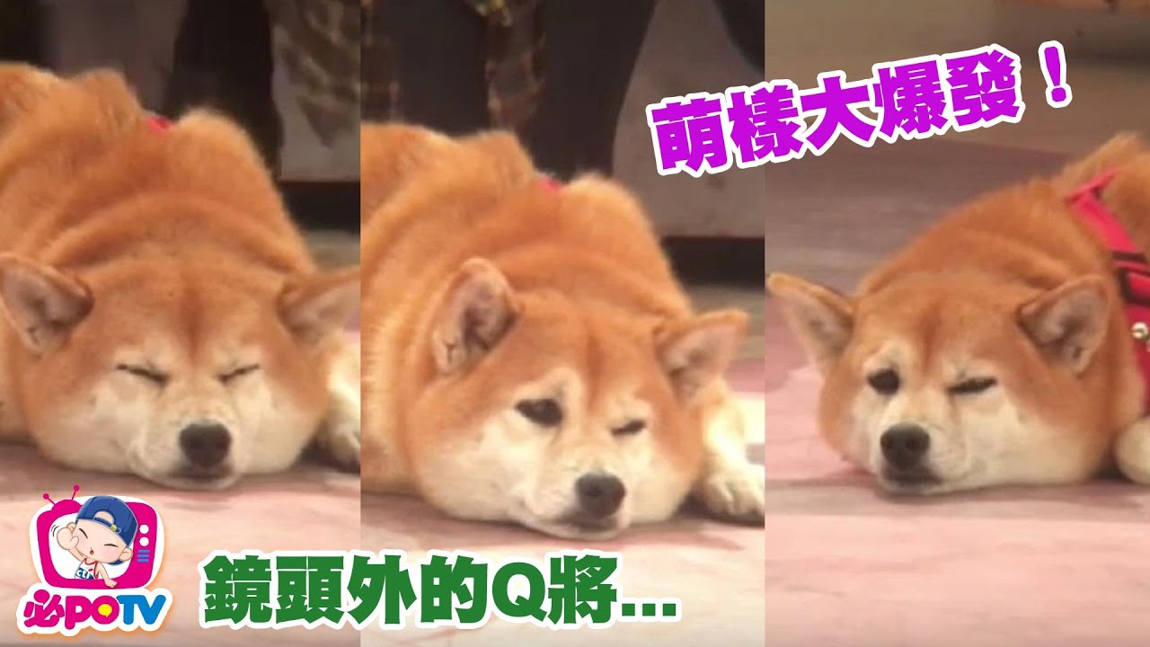 【全程影音】鏡頭外的Q將　萌樣大爆發