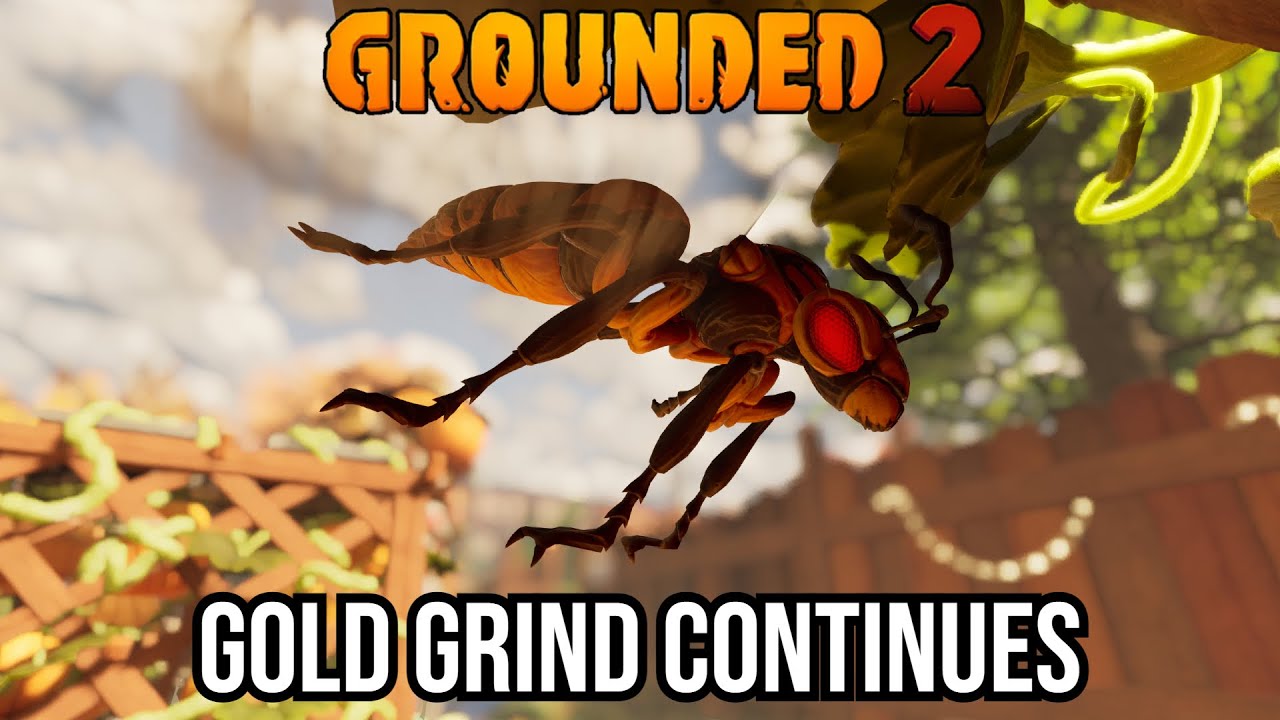 Non Stop Gold Grind | Toxic Tangle PTB