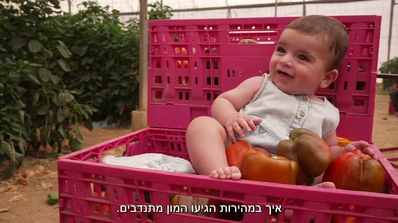 מלילות - נרטיב יישובי - דוקו ווייס 2025