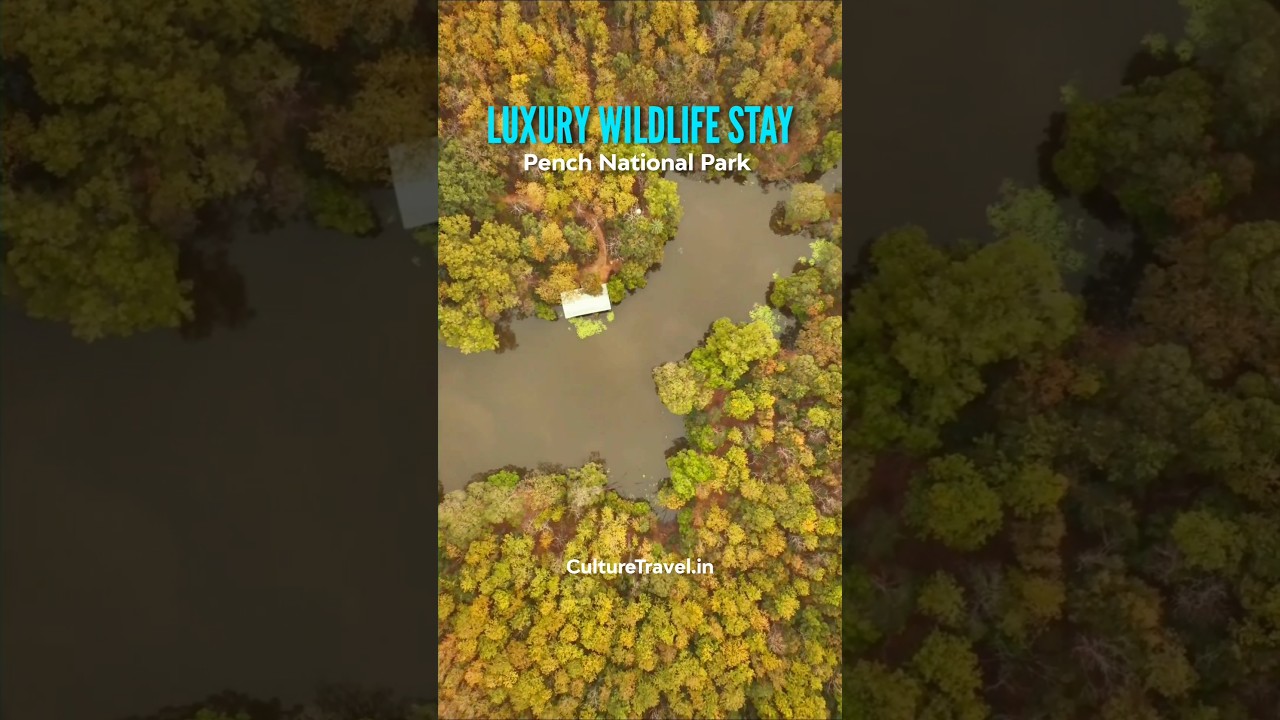 Best Resort in Pench National Park | Budget Resort in Pench National Park | Wildlife Resort in Pench