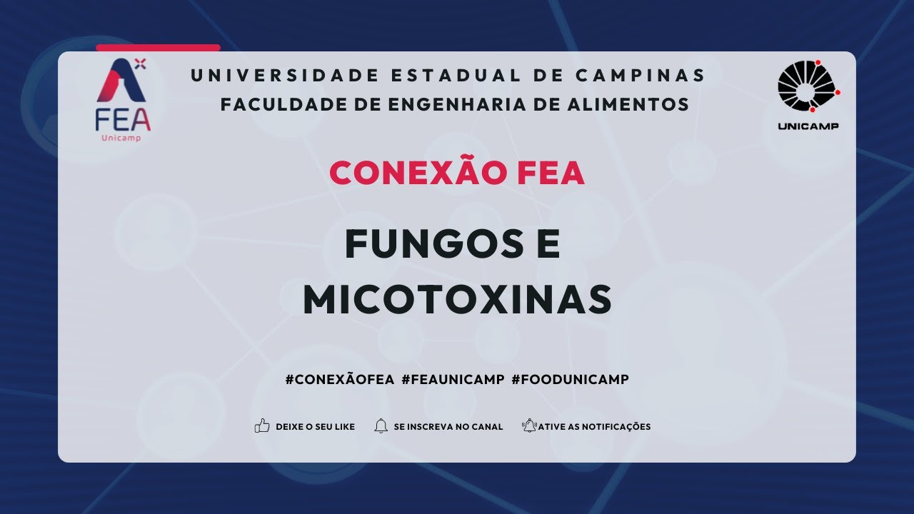 CONEXÃO FEA: Fungos e Micotoxinas