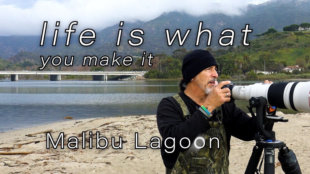 Life is what you make it - Malibu Lagoon - Canon R5, EF 600mm f/4L IS III USM Lens & 1.4 Extender