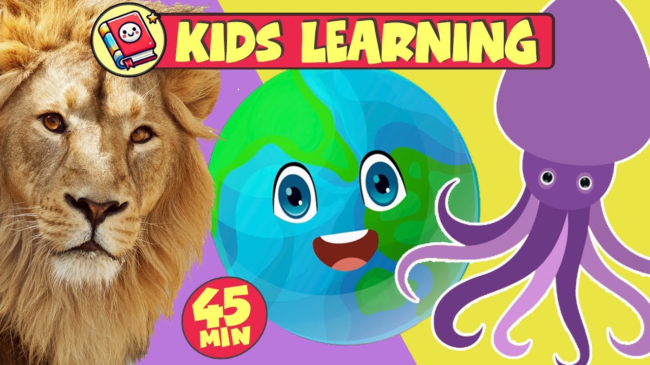 Toddler Learning Numbers, Feelings, Colors For Kids, ABC Song 📚  Educational Mix for Kids (45 Min)
