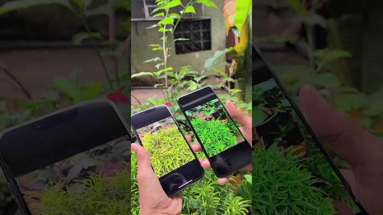 iPhone 13 pro vs OnePlus 9 camera test
