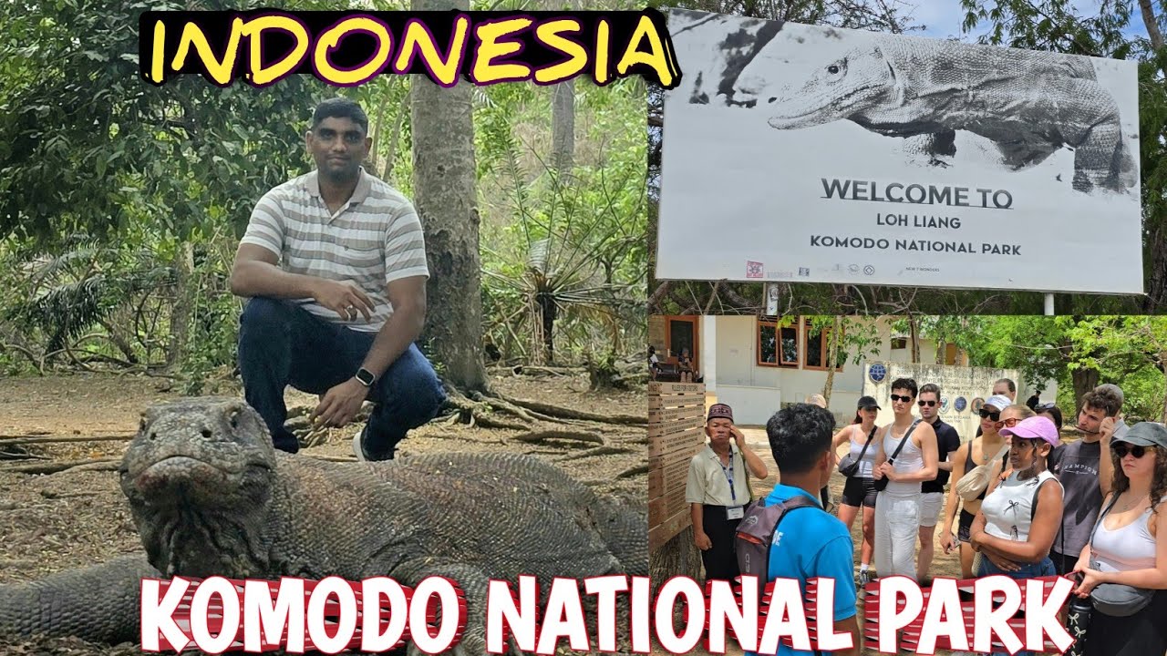 НАЦИОНАЛЬНЫЙ ПАРК КОМОДО, ИНДОНЕЗИЯ 🇮🇩