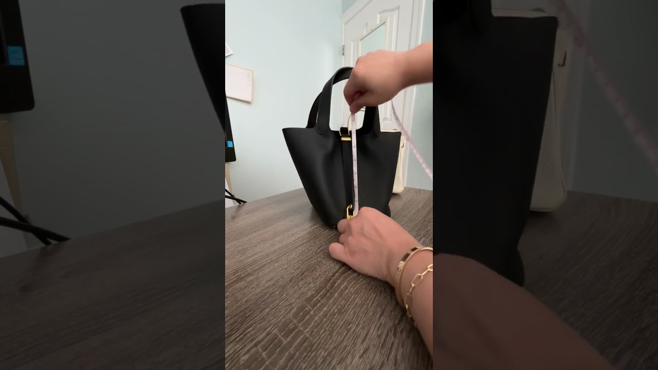 COMPARISON: Hermes Birkin 25 vs Picotin 18