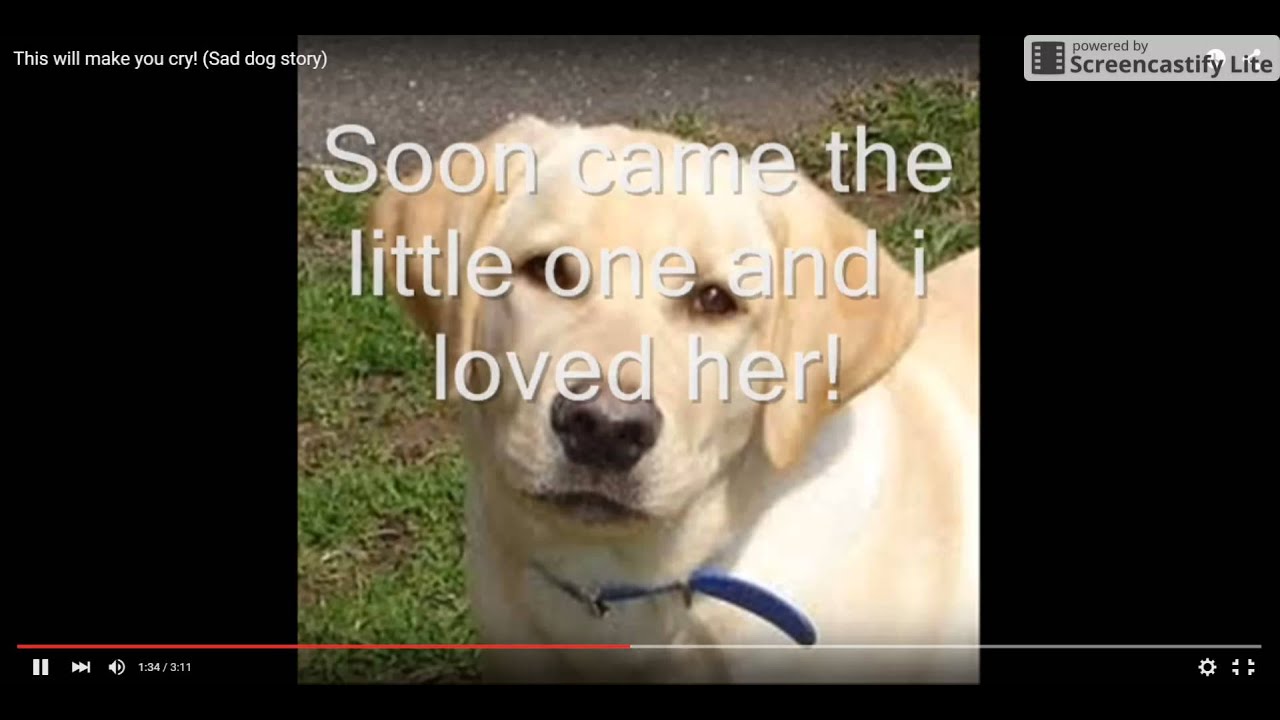 Sad dog story will make you cry
