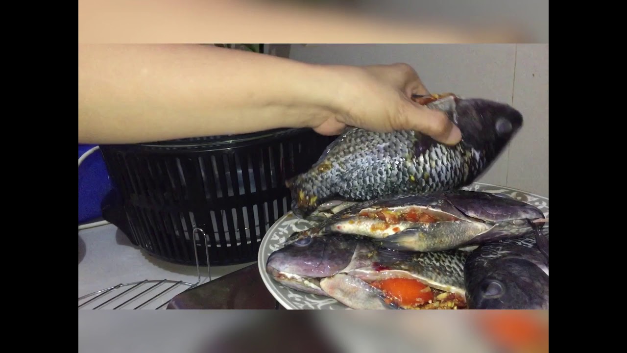 CONVECTION OVEN !!! ( grilled fish )🦈🐋🐟🐠
