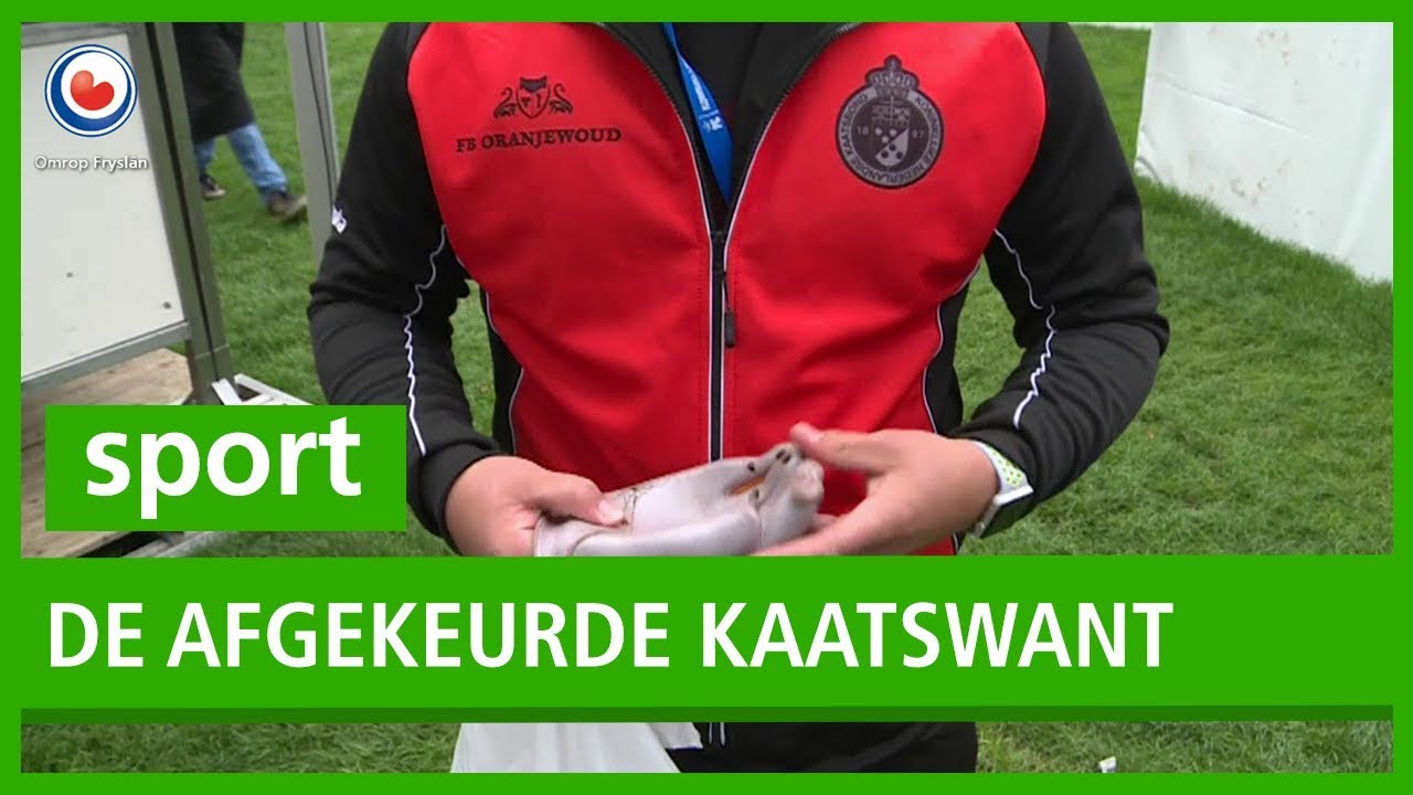 DE PC: De afgekeurde kaatswant