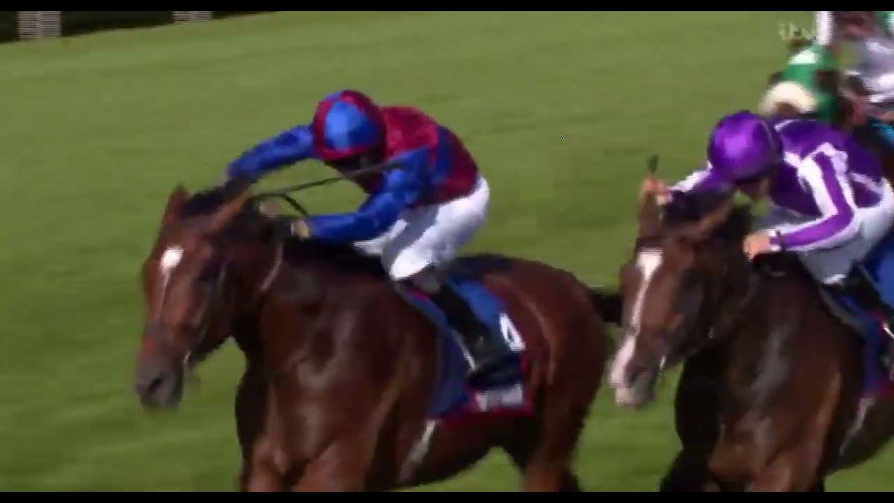 2024/9/14/R4/S M Levey/Jan Brueghel/Age3/AP OBrien/@ 1m 6f(Group1)(class1)