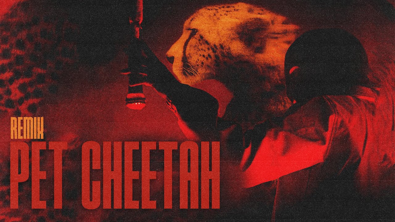 Pet Cheetah (Reimagined)