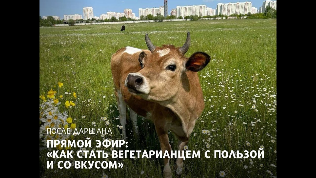 ЗАПИСЬ ЭФИРА:«КАК СТАТЬ ВЕГЕТАРИАНЦЕМ С ПОЛЬЗОЙ И СО ВКУСОМ»