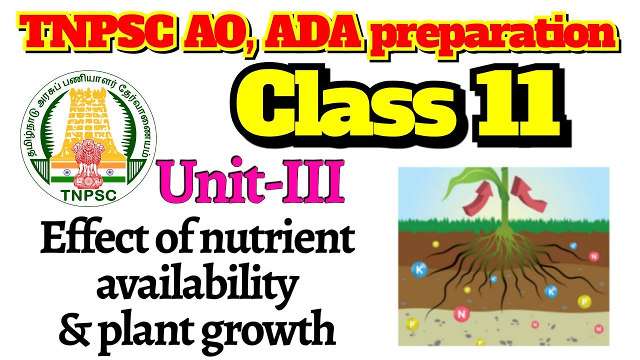Class 11 | Effect of nutrient availability & plant growth | TNPSC AO, ADA preparation 2023 Unit III