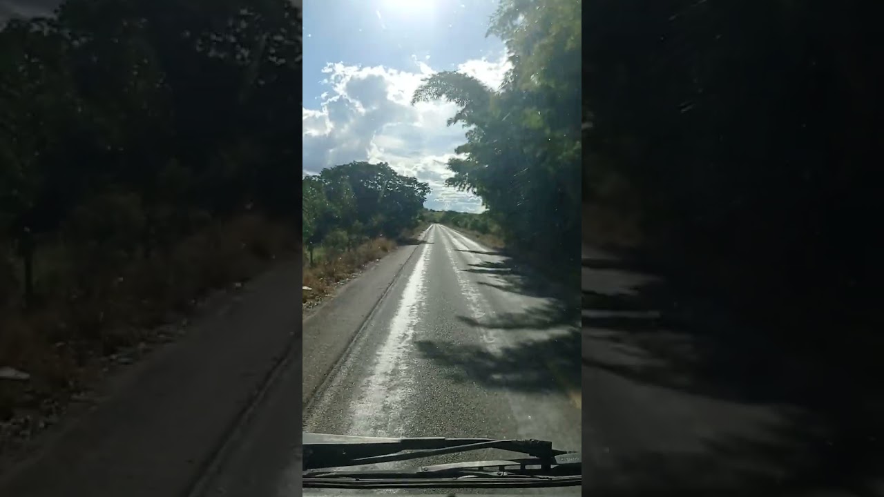 Rodovia do boi mg desviado de árvores 