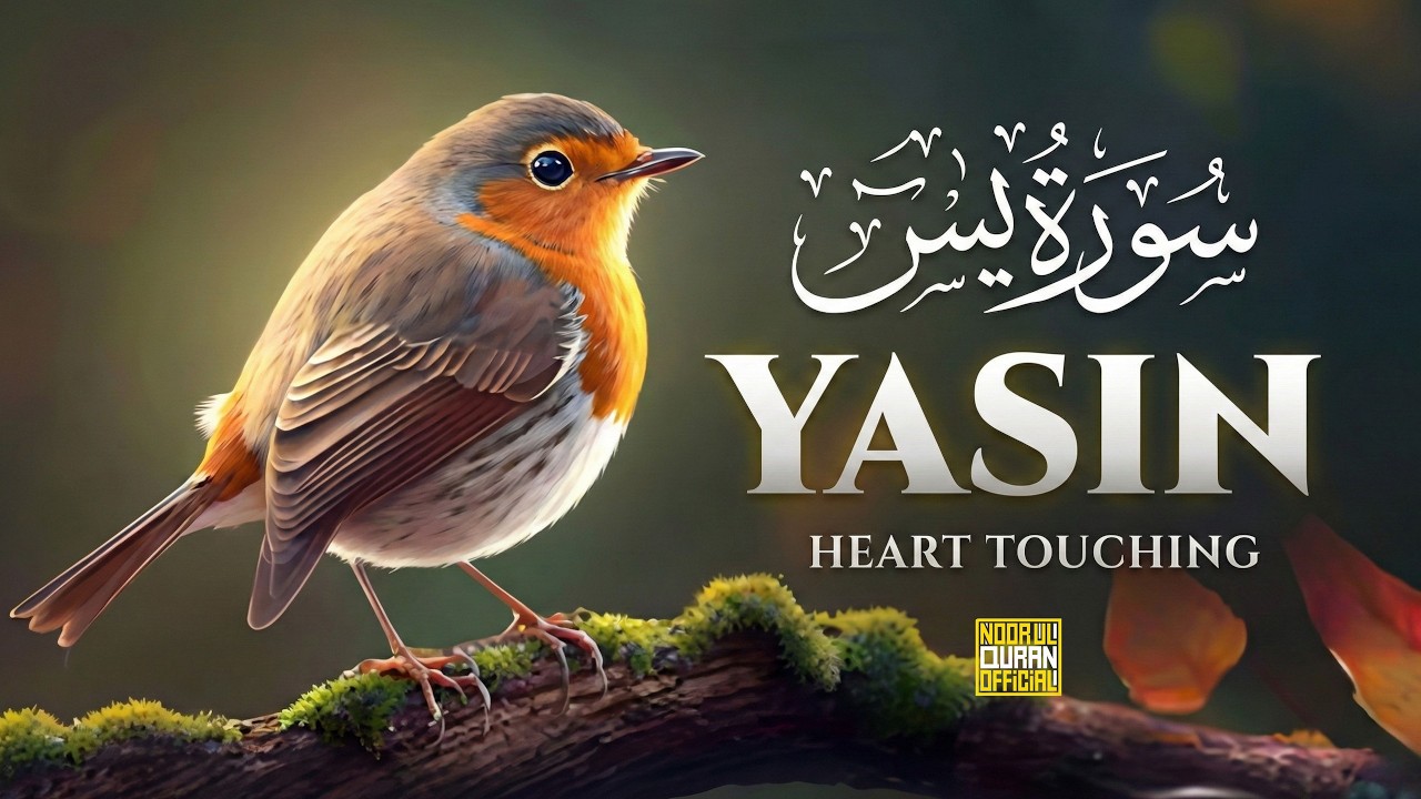 سورة يس 💖 Surah Yaseen | Heart-Touching Quran Recitation | Noor ul Quran Official