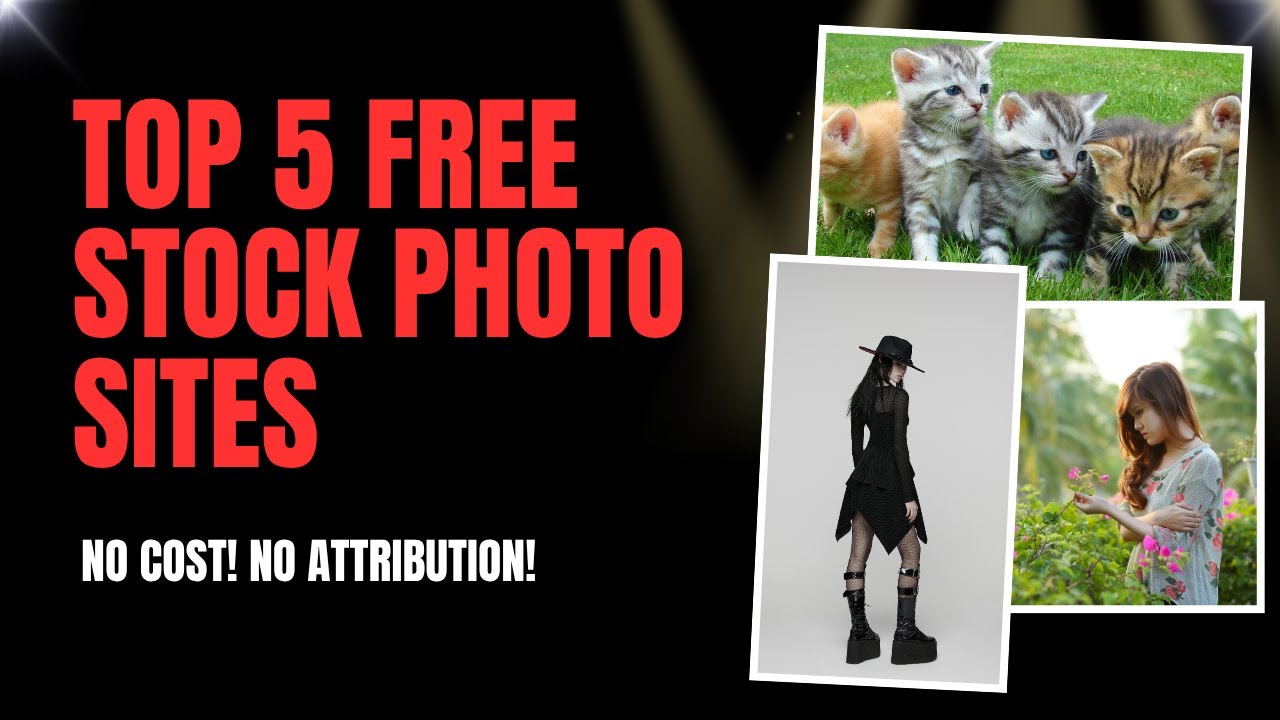 Top 5 Free Stock Photo Websites You Should Use