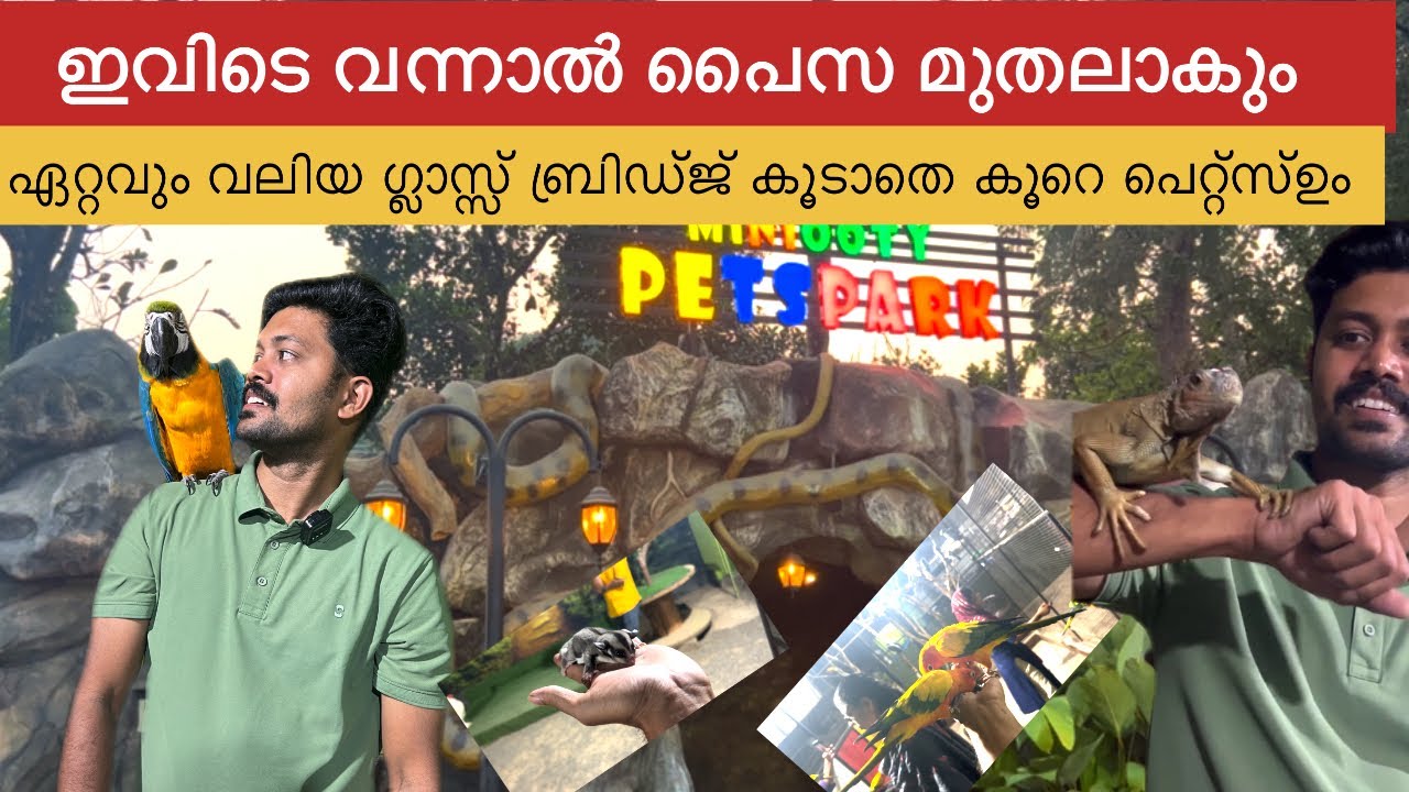 മലപ്പുറത്തുക്കാരുടെ സ്വഗരഅഹങ്കാരം mini Ooty #tirurkkaran #yaathra #shortvideo #malappuram #kerala