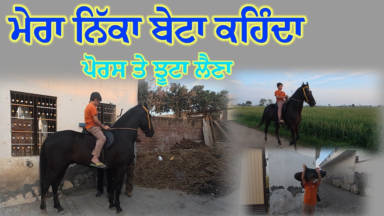 ਮੇਰਾ ਨਿੱਕਾ ਬੇਟਾ ਕਹਿੰਦਾ ਪੋਰਸ ਤੇ ਝੂਟਾ ਲੈਣਾ,, ਮੈਂ ਆਖਿਆ ਆਜਾ ਬੈਠ ਲੱਗ ਜਾਊ ਪਤਾ,, ਛੱਡਤਾ ਫੇਰ 