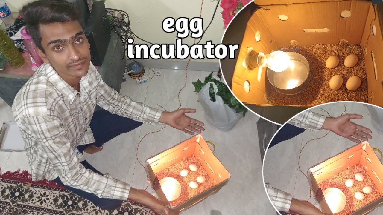 Desi Anda Incubator Ghar Par Banaya | Hatching Setup for Hens Eggs