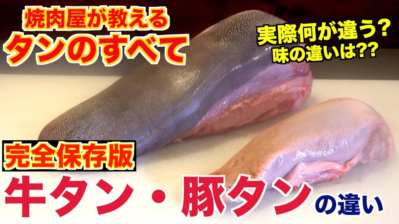 【牛タン・豚タンの違い】焼肉屋がその疑問解決します!!