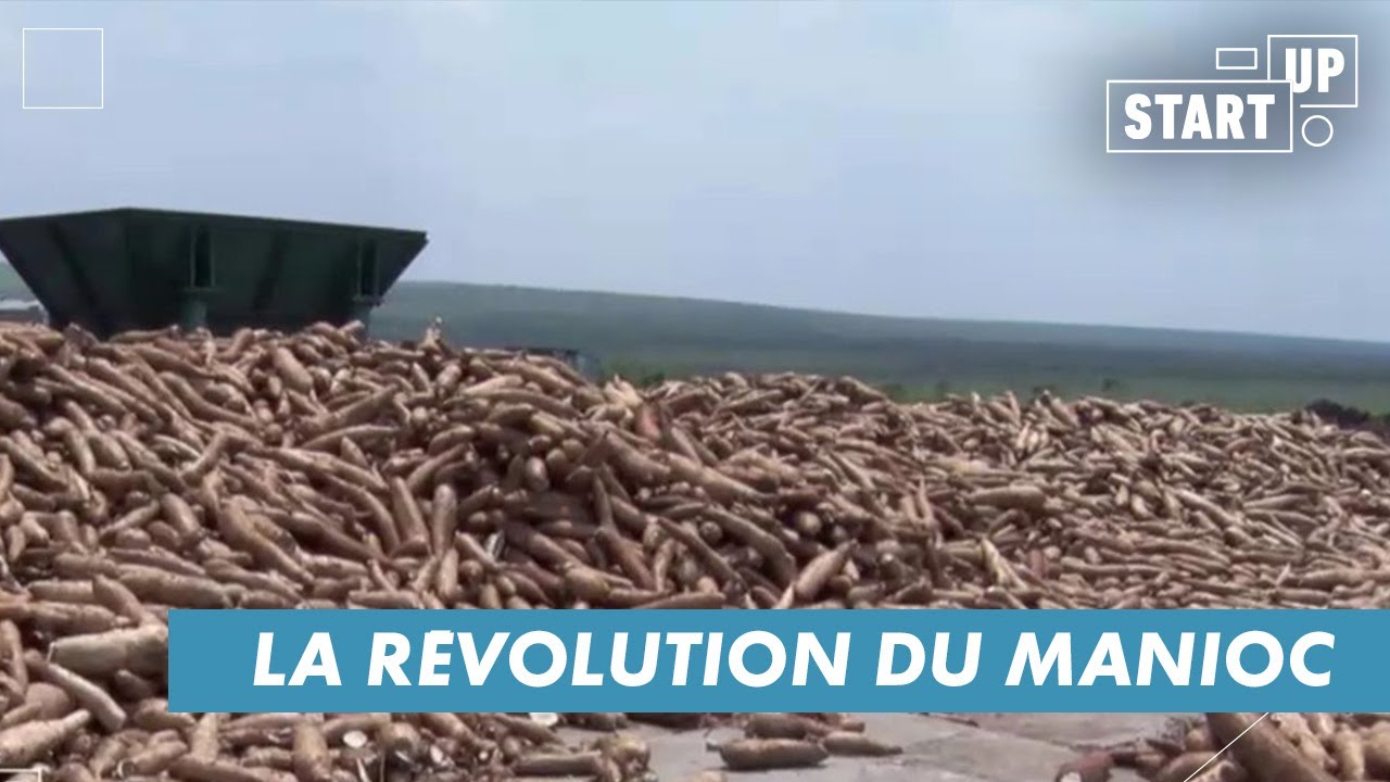 Le manioc décliné à l’infini ! – START-UP (20/10/22)