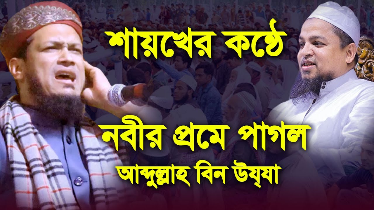 নবীর প্রেমে পাগল আব্দুল্লাহ বিন উযযা। মাওঃ আব্দুল মাজেদ আনসারী। Maulana Abdul Majed Ansari New Waz