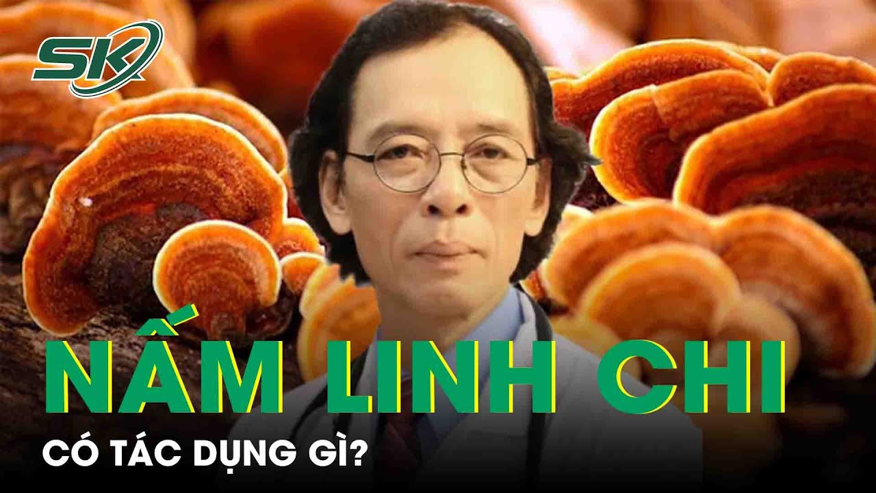Nấm Linh Chi C&oacute; T&aacute;c Dụng G&igrave;? | SKĐS
