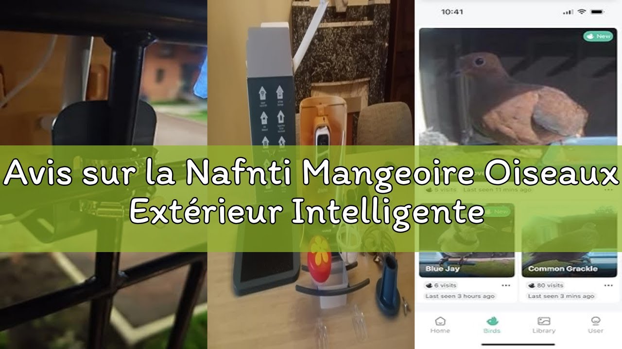 Avis sur la Nafnti Mangeoire Oiseaux Extérieur Intelligente 2K avec Caméra Solaire – AI 10 000 Espèc