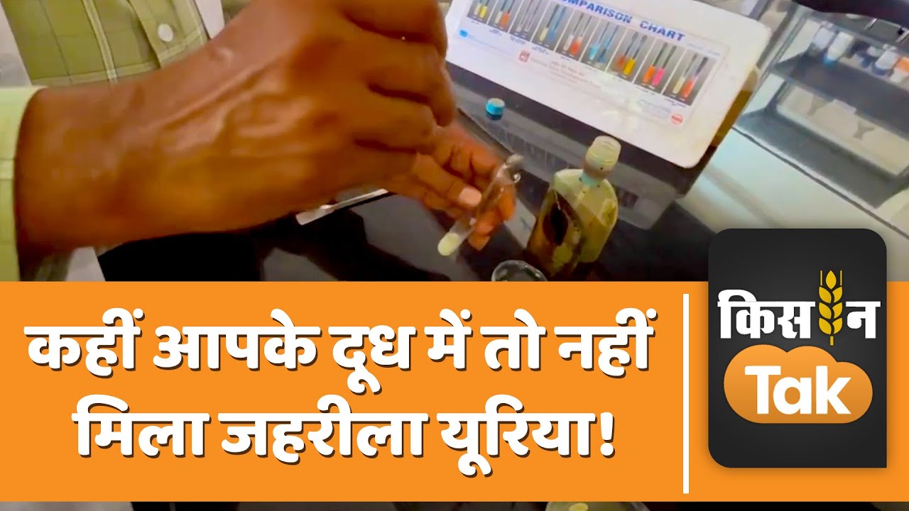 Urea In Milk: दूध में मिला है जहरीला यूरिया, ऐसे मिनटों में पकड़ें  | Kisan Tak