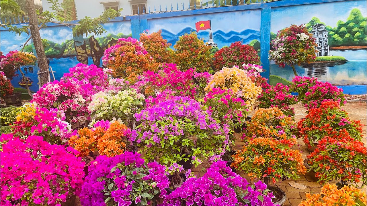Binh Ngo Year Spring Flower Market 2026 - Chợ hoa Xuân 🌹🌼🌸🌺🌻🌷năm Bính Ngọ 🦓🦓2026