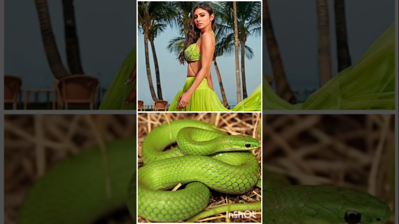 all naagin actress 👗 matching 🐍#shorts #viral#viral#youtubeshorts #trending #naagin