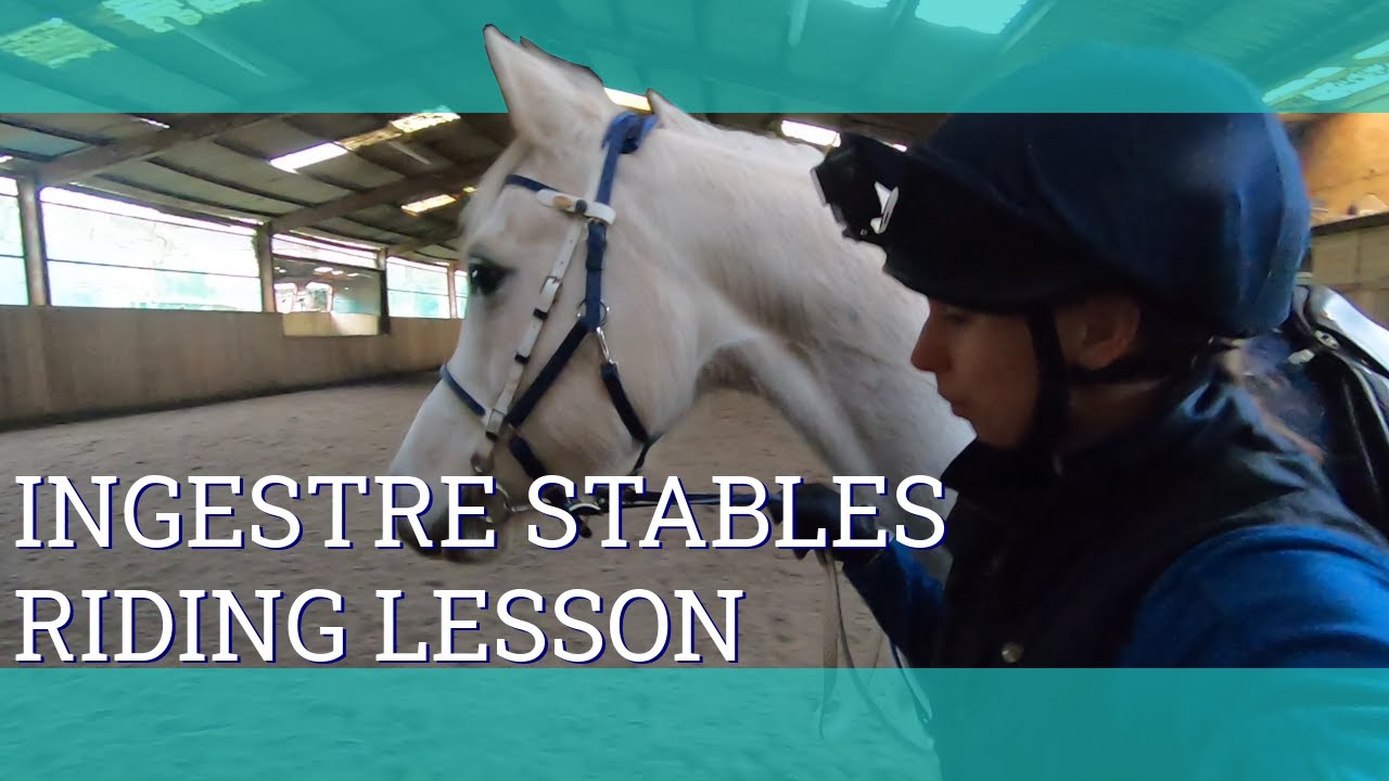 A riding lesson at Ingestre Stables - Vlog 217 - Beth Endurance